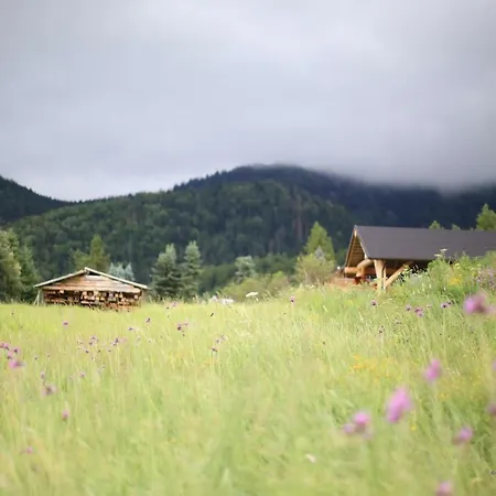 Krolewski Superior Z Sauna Zakopane